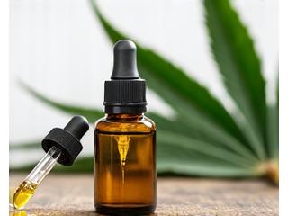 Aceite cbd perros ansiedad natural